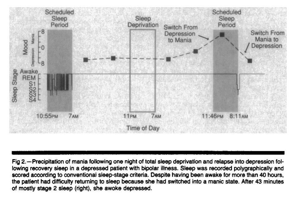 an essay on sleep